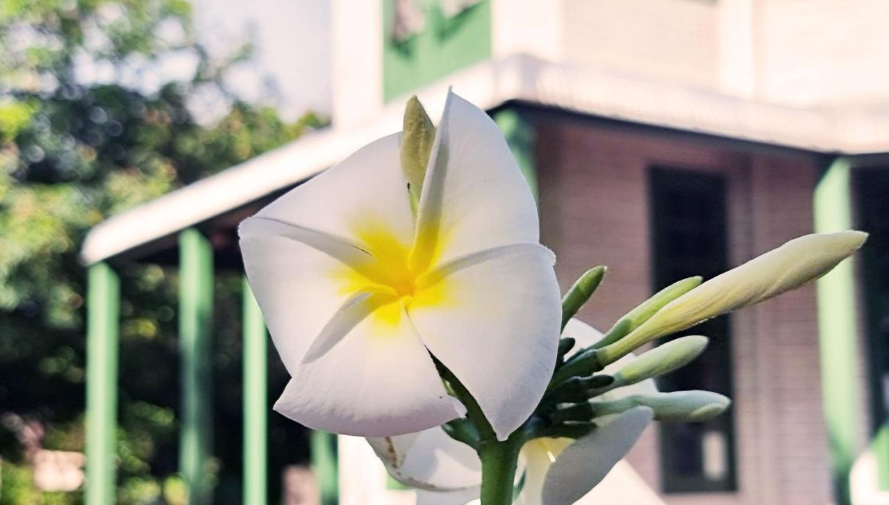 Oceania House Hotel Bantam Village Bagian luar foto
